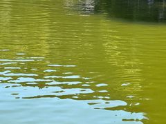 -武陵山森林公园