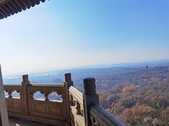 -灵谷景区