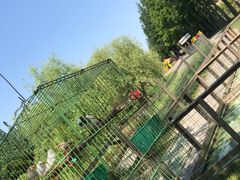 -前小桔亲子创意农场·草莓采摘·露营烧烤