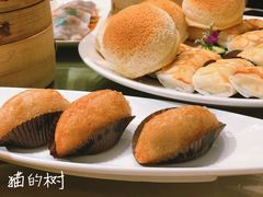 -陶陶居海鲜酒家(新马路店)