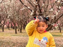 -蜀冈西峰生态公园