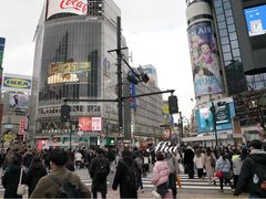 -涩谷区