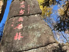 -汤旺河林海奇石景区