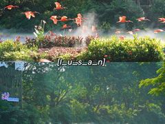 -广州长隆飞鸟乐园