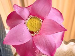 -火福·天湖阁大闸蟹博物馆主题餐厅(浅水湾店)