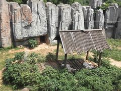 -无锡动物园·太湖欢乐园
