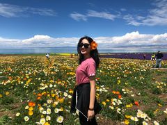 -青海湖国家重点风景名胜区