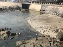 -黑石礁公园