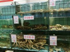 水产区-海岛渔村大酒店(云霄路店)