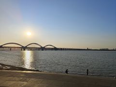 -哈尔滨道外花鸟鱼市场
