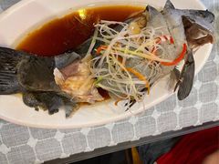 高原雪山鱼-小厨子私房菜·云南美食店