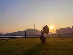 -野狸岛