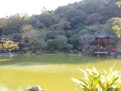 -云溪植物园