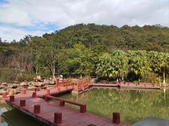 -神光山国家森林公园