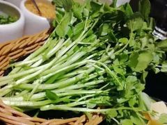 豆苗-官也街澳门火锅(新源里店)
