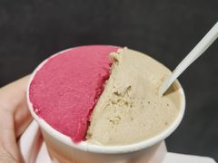 -Dip in Gelato(富民路店)