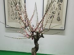 -无锡梅园公园