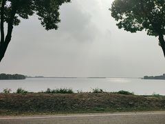 -漕湖湿地公园