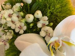 -玲婧胡同·生日蛋糕·餐厅(嘉里城店)