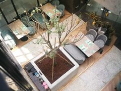 -大树餐厅(红旗街万达店)