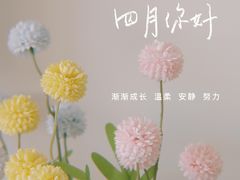 -星巴克臻选(深圳宝安大仟里1店)