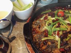 -老板恋上鱼(恒隆广场店)