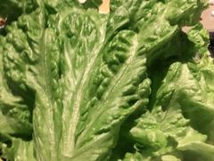 蘸酱菜-丰茂烤串(钦州北路店)