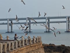 -黑石礁公园