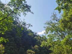 -九宫山风景区