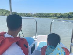 -昆山城市生态森林公园