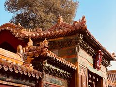 -故宫博物院(故宫)