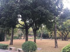 -晓港公园
