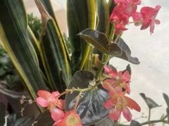 -思思·情景·养生Spa