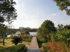 -美兰湖景区