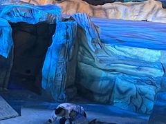 -威海华夏城景区