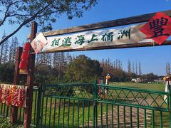 -上海长兴岛郊野公园