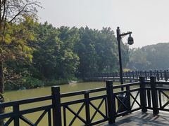 -海珠湖公园