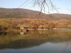 -紫霞湖公园