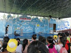 -米果果小镇