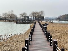 -苏州太湖湖滨国家湿地公园