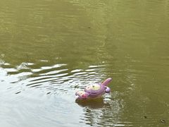 -珠海圆明新园