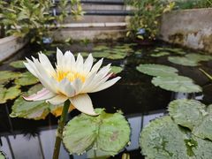 -国家植物园
