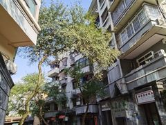-老街无刺鲫鱼