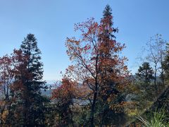 -塔川景区