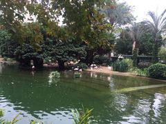 -九龙公园