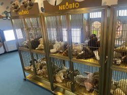 -奈尔宝·儿童乐园·亲子餐厅(鄞州万达店)