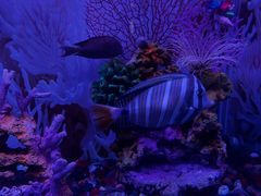 -秦皇岛新澳海底世界