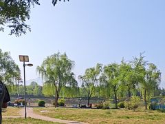-洨河生态公园