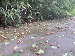 -白鹭湾湿地公园