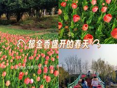 -上海鲜花港